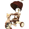 3-in-1 Folding Tricycle, Comfort Brown - Bikes - 1 - thumbnail