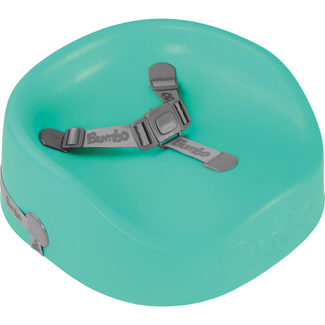 Booster Seat, Aqua - Booster Seats - 1