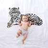 Organic Cotton Gauze Swaddle, Tiger - Swaddles - 2