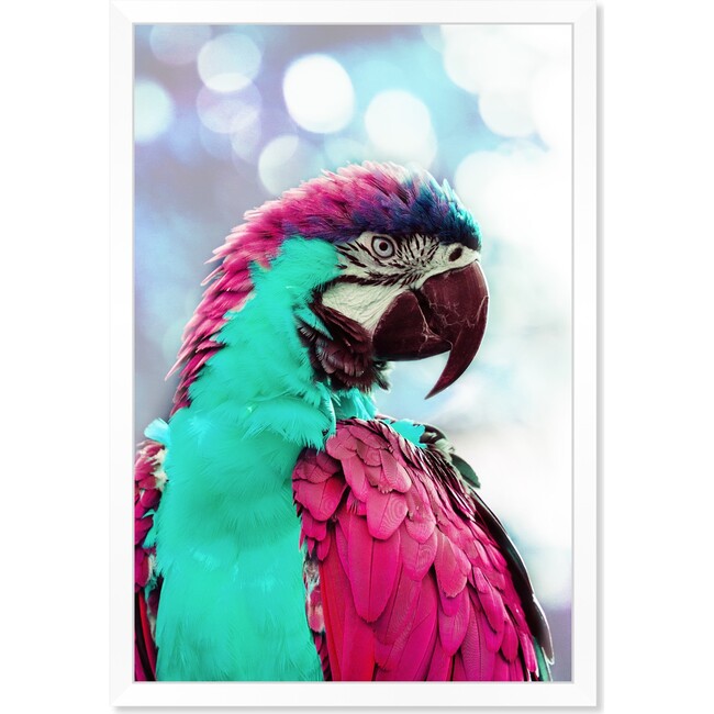 Pink Turquoise Macaw, Framed