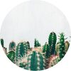 Cactus Family - Art - 1 - thumbnail