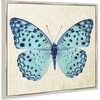 Blue Butterfly, Framed - Art - 2