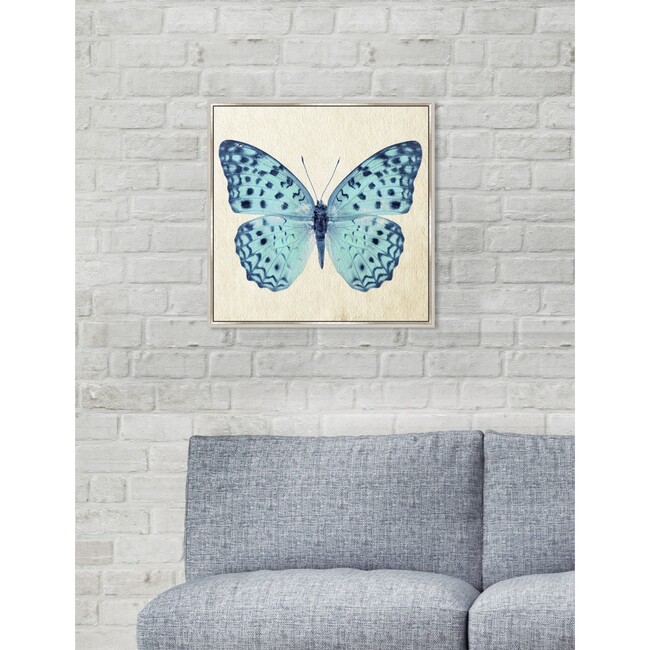 Blue Butterfly, Framed - Art - 4