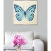 Blue Butterfly, Framed - Art - 5