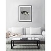 Struthio Camelus, Framed - Art - 2