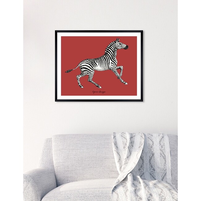 Equus Quagga, Framed