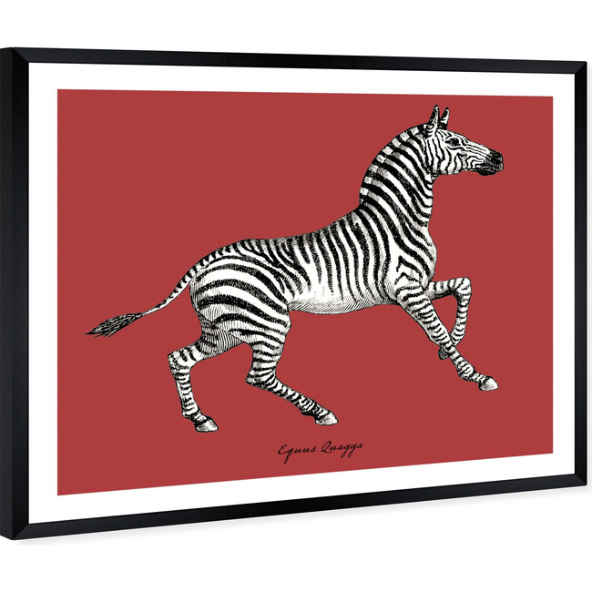 Equus Quagga, Framed - Art - 3