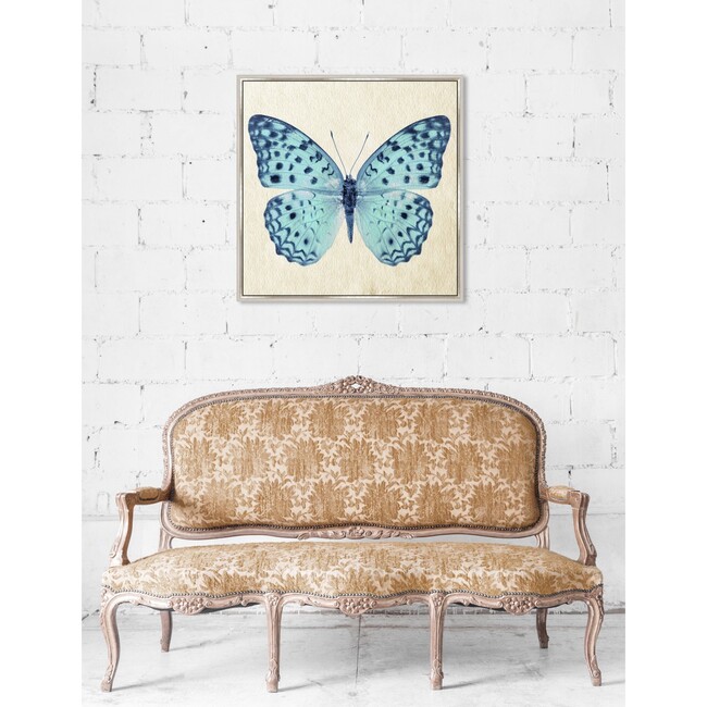 Blue Butterfly, Framed - Art - 7
