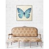 Blue Butterfly, Framed - Art - 7