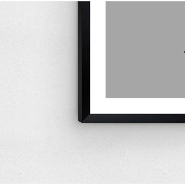 Struthio Camelus, Framed - Art - 4