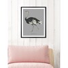 Struthio Camelus, Framed - Art - 5