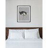 Struthio Camelus, Framed - Art - 6
