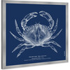 The Red Crab - Blue, Framed - Art - 3 - thumbnail