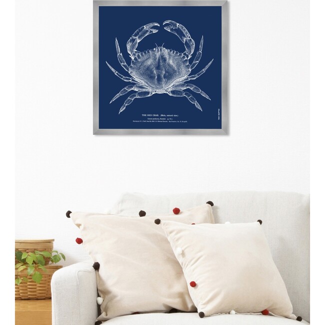 The Red Crab - Blue, Framed - Art - 5