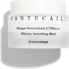 Hibiscus Smoothing Mask - Spot Treatments - 1 - thumbnail