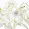 Jasmine & Lily Healing Mask - Spot Treatments - 2