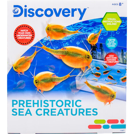 Prehistoric Sea Creatures - STEM Toys - 1