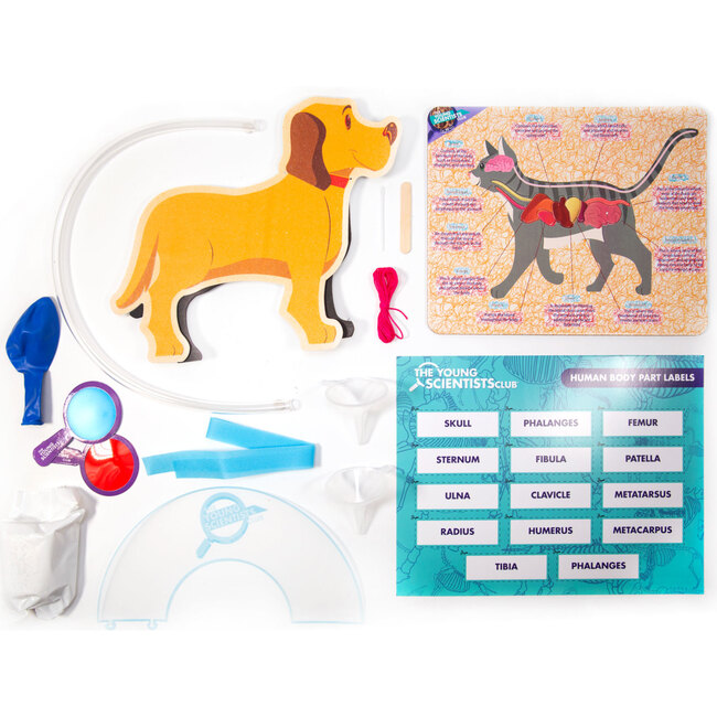 Future Veterinarian - STEM Toys - 2
