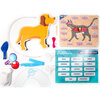 Future Veterinarian - STEM Toys - 2