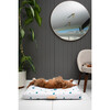 Terrazzo Dog Bed, White - Pet Beds - 3