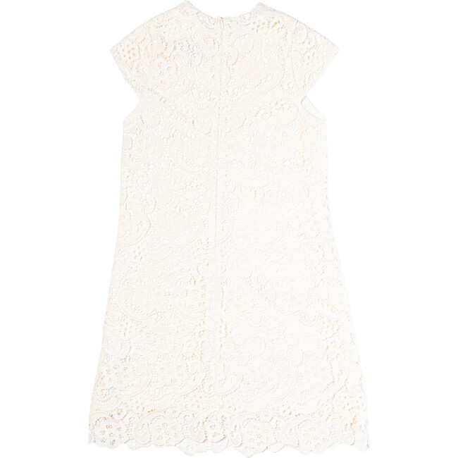 Diana Dress, Cotton Lace - Dresses - 3