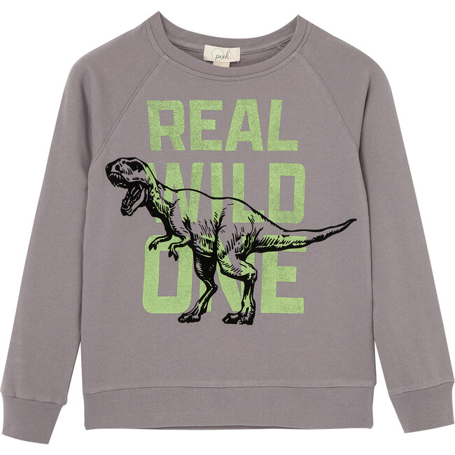 T-Rex Sweatshirt, Grey