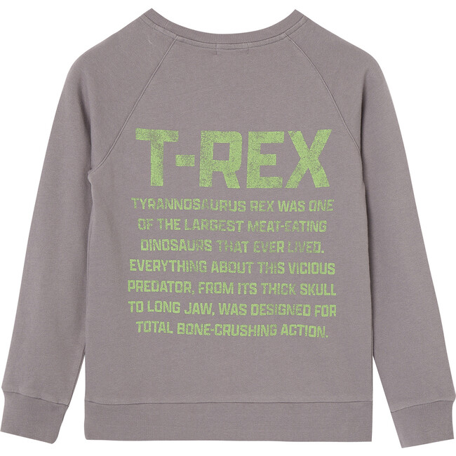T-Rex Sweatshirt, Grey