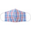 Kids Face Mask, Harbor Bluff Plaid - Other Accessories - 1 - thumbnail