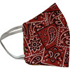 Kids Country Western Facemasks Bundle of 3, Red - Face Masks - 4