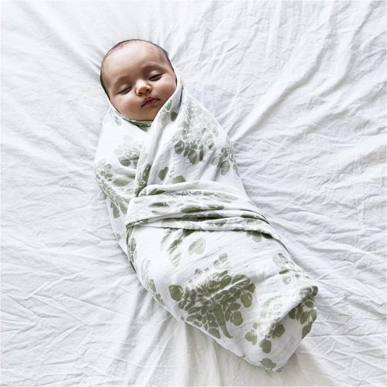 Organic Baby Essentials, Gift Set Small 2 - Swaddles - 2
