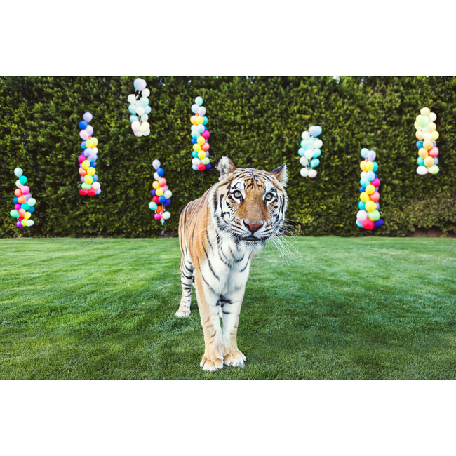 Party Animal - Art - 1