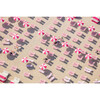 Pink and White Beach Club - Art - 1 - thumbnail