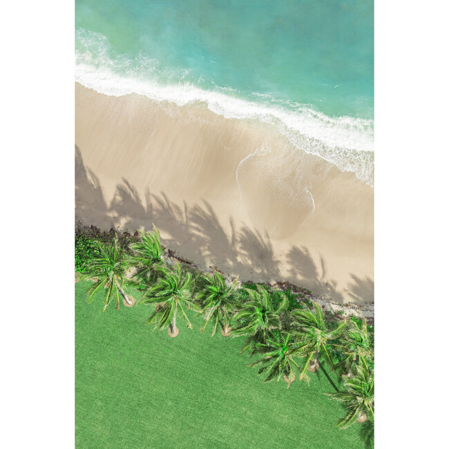 Palm Beach Landscape - Art - 1