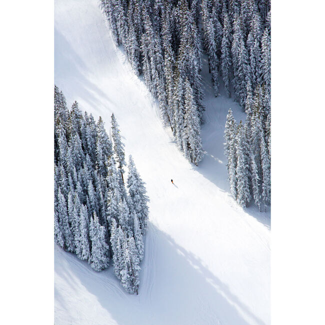 Aspen Lone Skier - Art - 1