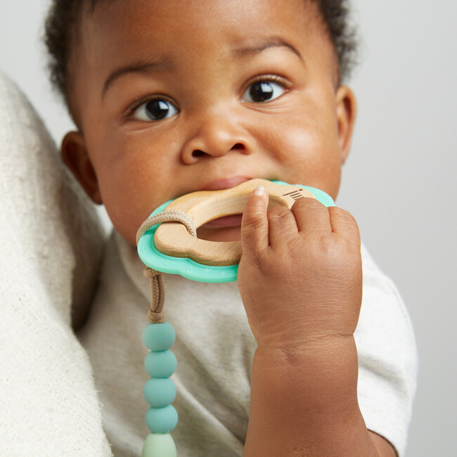 Aqua Teether + Clip Set
