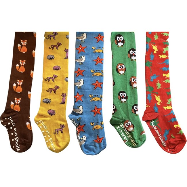 Animals Footed Tights Set of Five