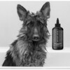 The Shedder Dog shampoo - Pet Grooming - 2