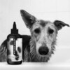 The Sensitive Deluxe Box - Pet Grooming - 2