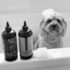 The Non Shedder Deluxe Box - Pet Grooming - 2