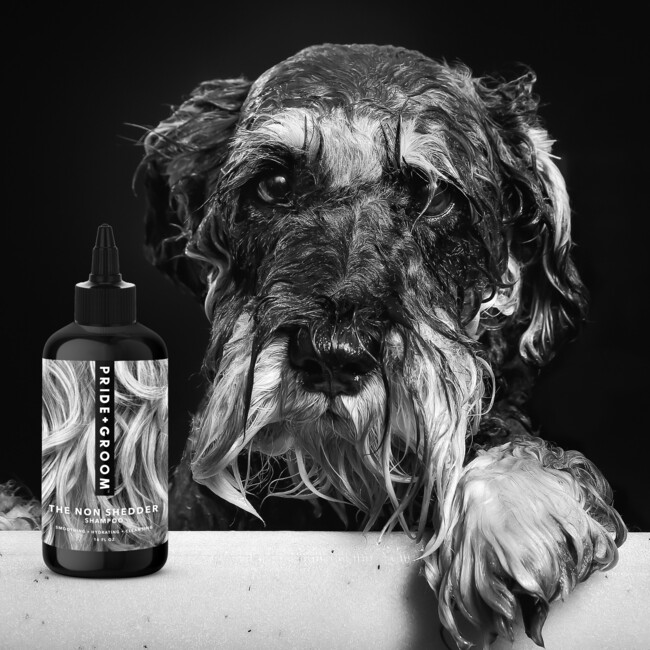 The Non Shedder Dog shampoo - Pet Grooming - 2