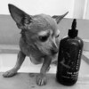 The Shedder Deluxe Box - Pet Grooming - 2