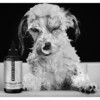 The Sensitive One Dog shampoo - Pet Grooming - 2