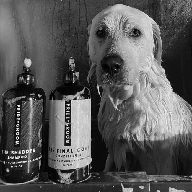 The Final One Dog conditioner
