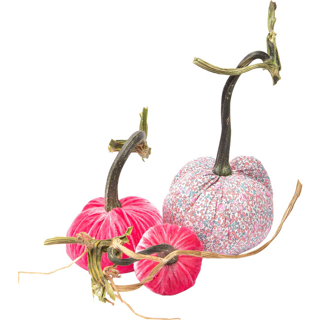 Liberty Pumpkin Trio, Pink Daisy - Accents - 1