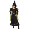 Wizard Of Oz - Wicked Witch Of The West - Costumes - 1 - thumbnail