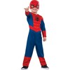 Ultimate Spider-Man - Costumes - 1 - thumbnail