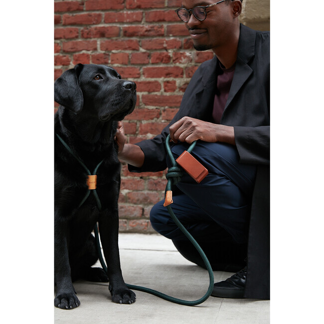 Ray Harness, Dark Green - Collars, Leashes & Harnesses - 4