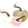 Exclusive Pumpkin Trio, Pink - Accents - 2