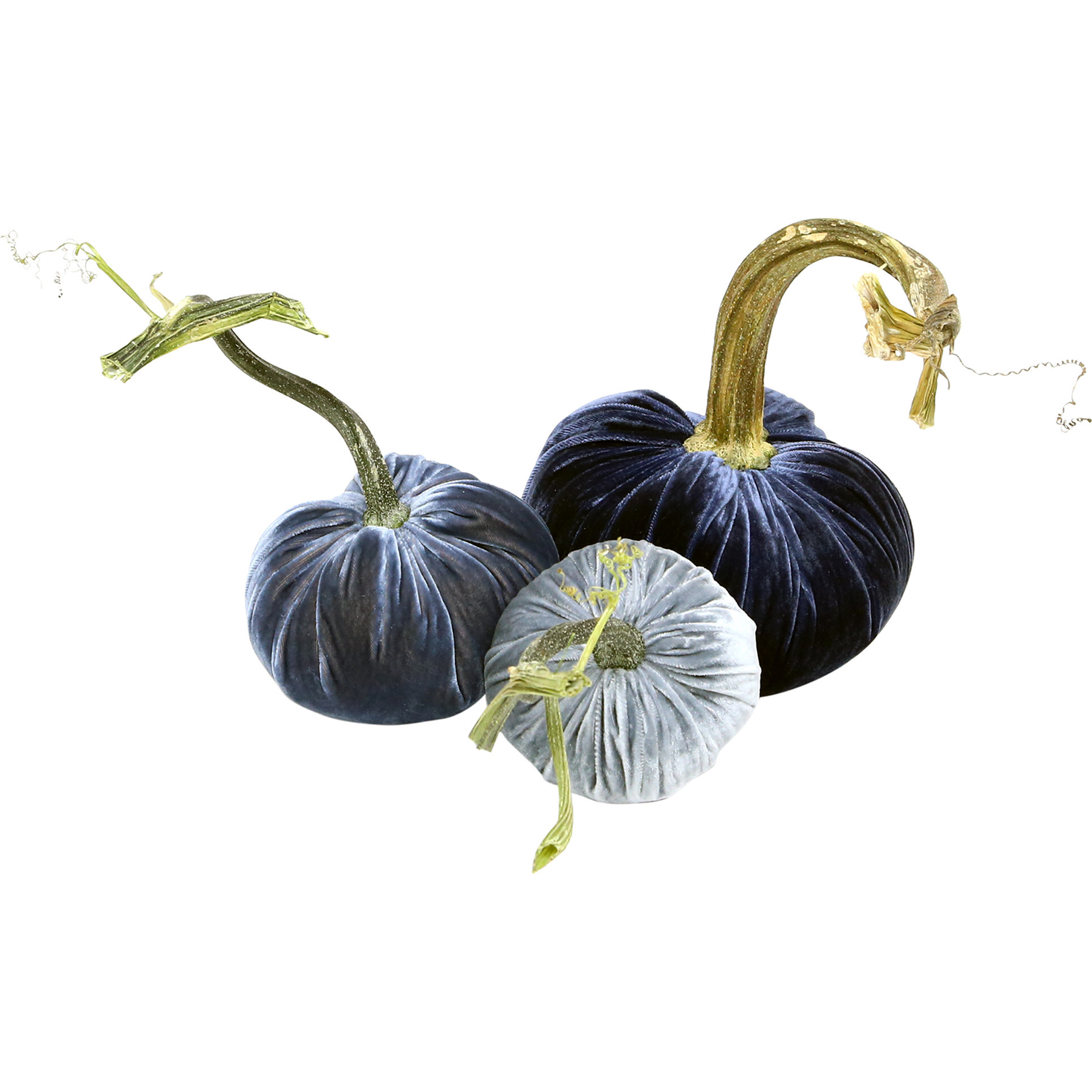 Exclusive Pumpkin Trio, Blue - Accents - 1