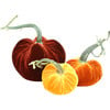 Exclusive Pumpkin Trio, Fall Sunset - Accents - 2